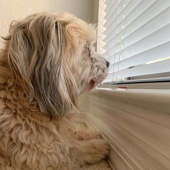 Meet your Posher, Michael - Picture 1 of 1